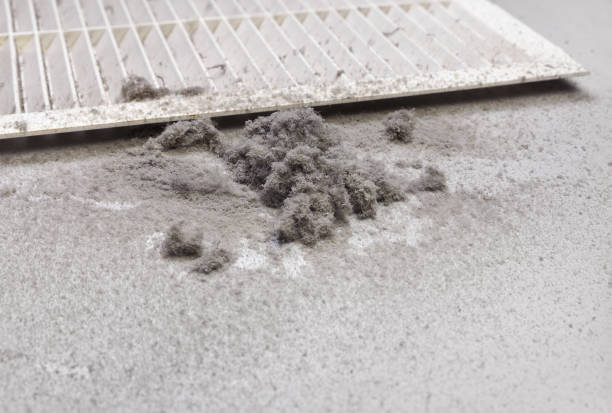 Best Air Duct Cleaning Near Me  in Skyline Ganipa, NM